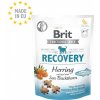 Brit snack Recovery herring & sea buckthorn 150 g