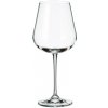 CRYSTALITE BOHEMIA BOHEMIA ARDEA POHÁR NA ČERVENÉ VÍNO SADA 6KS 540 ML