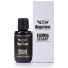 ANGELWAX Enigma Legacy Titanium Ceramic Coating - Keramická ochrana laku 30ml