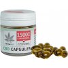 Cannaline CBD kapsuly – 1500 mg CBD, 30 x 50 mg