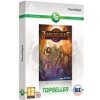 Torchlight (PC)