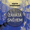 Stručovský Martin - Zavátá sněhem / MP3 [CD]