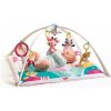 Podložka na hranie pre bábätká, 2 v 1, Tiny Love Gymini Deluxe