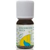 Hanus Silica Kosodrevinova ole 10 ml