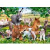 Norimpex - Puzzle Diamantový obraz: Hospodárske zvieratá 30x40 cm - 1-39 dielov