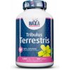 Haya labs Tribulus Terrestris 1000 100 tabliet