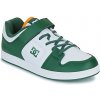 DC Shoes Nízke tenisky MANTECA 4 V SN Viacfarebná
