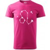 Súhvezdie - Leo - Lev - Klasické pánske tričko vyššej gramáže - XL ( Purpurová )
