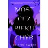Most cez rieku chýb - Kristin Dwyer