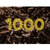 Kalifornské dážďovky Množstvo dážďoviek: 1000 g - JEDNOTKA NA SLOVENSKU -