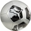 Futbalová lopta Puma Big Cat 84214 03