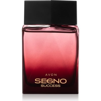 Avon Segno Success parfumovaná voda pre mužov 75 ml