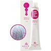 Kallos Cosmetics Kft. Kallos Cream Hair Colour 12.11 farba na vlasy 100ml