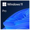 Windows 11 Pro 64-bit SK - USB (HAV-00161)