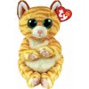 TY Mango cat Beanie Bellies, 17 cm