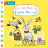 Can You Find The Easter Bunny? - Axel Scheffler