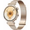 Huawei Watch GT 6 41mm Gold Milanese 55020FTP (55020FTP)