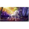Foto obraz akrylové sklo Jednorožec 100x50 cm