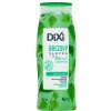 Dixi šampón brezovy 400 ml