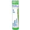 Carbo Vegetabilis gra.1 x 4 g 5CH