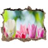 Fototapeta díra na zeď Tulipány 95x64 cm