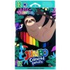 Colorino 22037PTR 12 farieb