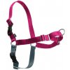 PetSafe Postroj EasyWalk , mlainovy M Farba: malinové