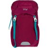 Outdoorový batoh BAAGL Tracker Roj - 14 L