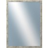 DANTIK - Zrkadlo v rámu, rozmer s rámom 60x80 cm z lišty TRITON strieborná (2143)