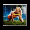 Larsson Zara - Midnight Sun CD
