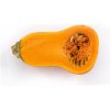 Tekvica maslová Honeynut - Cucurbita moschata - semená tekvica - 6 ks