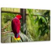 Obraz na plátně Papoušek ráj Ptáci Příroda - 90x60 cm