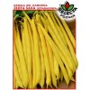 Fazuľa špargľová žltá 