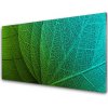 Nástenný panel Abstrakcie listy rastlina 100x50 cm