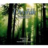 DVOŘÁK,A.: Piano Duet - Kompletní dílo klavírních duetů (2CD) (BRILLIANT CLASSICS)