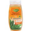 BC Bione Cosmetics Bio Cannabis regeneračný výživný šampón 260 ml