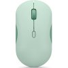 Lenovo 350 Bluetooth Silent Mouse (Breeze Moss) GY51S61913