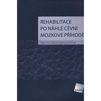 Rehabilitace po náhlé cévní mozkové příhodě