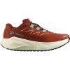 Dámska bežecká obuv Salomon Aero Blaze 3 GRVL Burnt Ochre/Vanilla Ice/Vanilla Ice UK 8,5