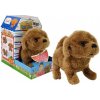 LEAN Toys Interaktívna batéria Pes Brown Walks pohybuje chvostom Zvuk