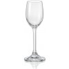 Crystalex Sklenice LARA 6 x 65 ml