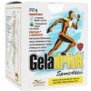 Geladrink SportAktiv sáčky 252g