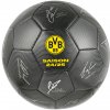 Fan-shop Lopta BORUSSIA DORTMUND 24/25 s podpisy velikost: 5