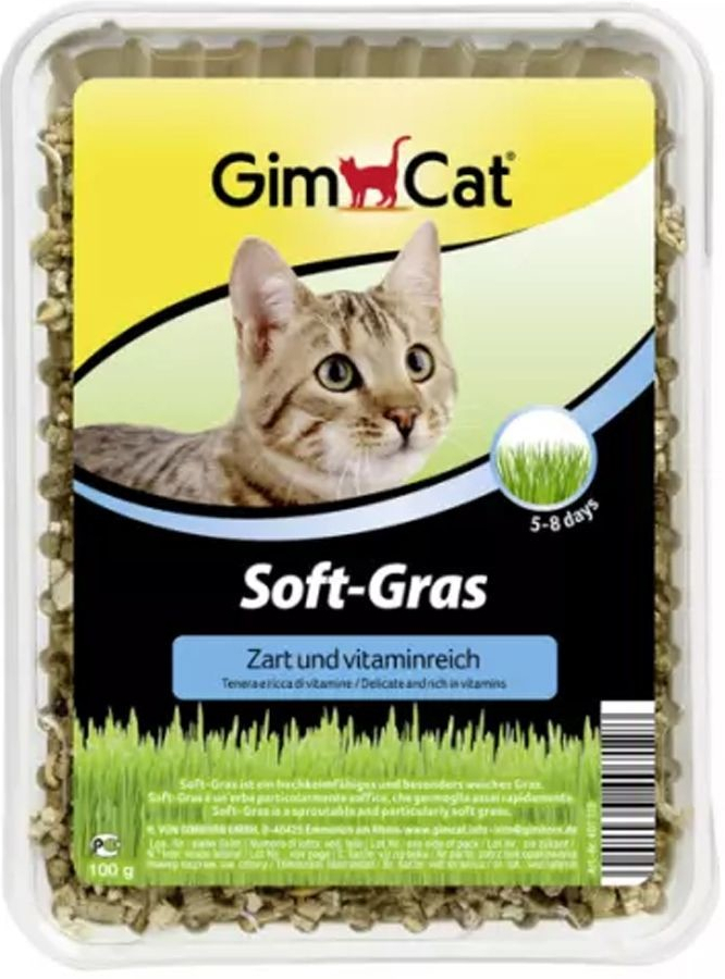 GIMBORN GimCat Soft-Gras tráva pre mačky 100 g