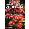 Fondamenti di zoologia (Brožovaná)