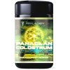 PRIMAL ALCHEMY Panacean Colostrum (RAW BIO demeter kolostrum) -50g (Primal Alchemy)