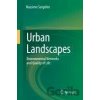 Urban Landscapes - Massimo Sargolini