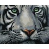 Diamantové maľovanie Diamondi - Diamantové maľovanie - HLAVA BIELEHO TIGRA, 40x50 cm, bez rámu a bez vypnutia plátna (602130A)
