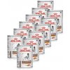 Royal Canin VHN Gastrointestinal 12 x 420 g