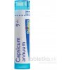 Capsicum Annuum gra.1 x 4 g 9CH